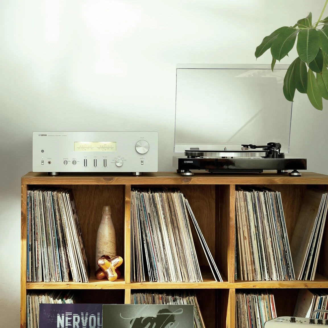 Yamaha A-S1200 Integrated Amplifier 8 Yamaha A-S1200 Integrated Amplifier - Image 6