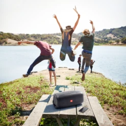 JBL BassPro Go In-vehicle Powered Sub & Portable Bluetooth Speaker -Electronic Audio Store JBL BASSPRO GO PICNIC TABLE CROP x2 45acae98 d54f 4888 a100 f03dcb70b066